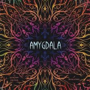 杏仁核 Amygdala