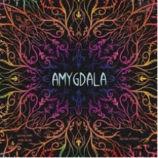 杏仁核 Amygdala